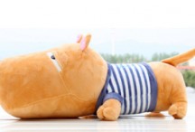Puco Dog
