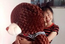 teddy cheap